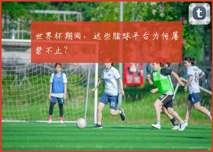 世界杯期间,这些赌球平台为何屡禁不止?