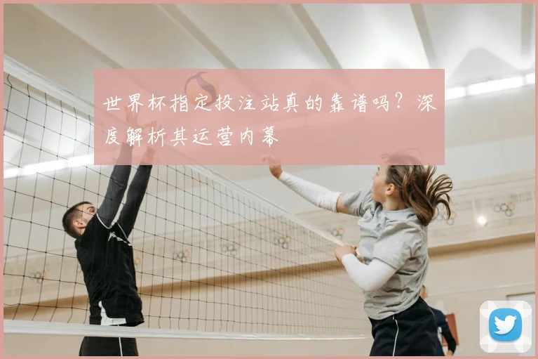 世界杯指定投注站真的靠谱吗？深度解析其运营内幕