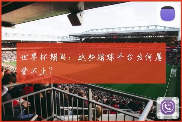 世界杯期间，这些赌球平台为何屡禁不止？
